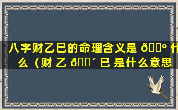 八字财乙巳的命理含义是 🐺 什么（财 乙 🌴 巳 是什么意思）